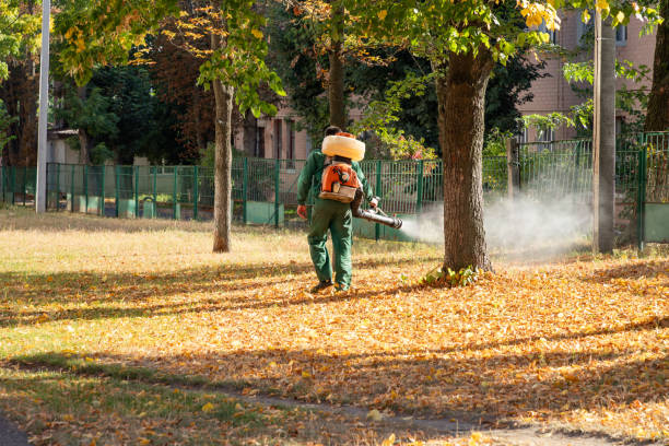 Best Best Pest Control Companies  in Shields, MI